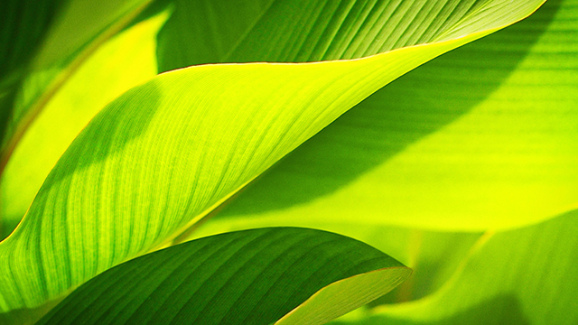 画像に alt 属性が指定されていません。ファイル名: environment3.png